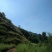 昭通市昭阳区3000亩有林地山地出租入股合作