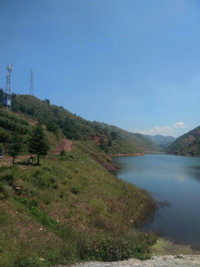 昭通市昭阳区3000亩有林地山地出租入股合作