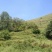 昭通市昭阳区3000亩有林地山地出租入股合作