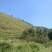 昭通市昭阳区3000亩有林地山地出租入股合作