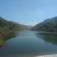 昭通市昭阳区3000亩有林地山地出租入股合作