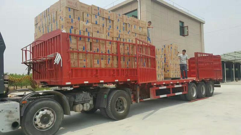 50吨库存红枣皮皮枣厂家超低价直供货源稳定一件代发