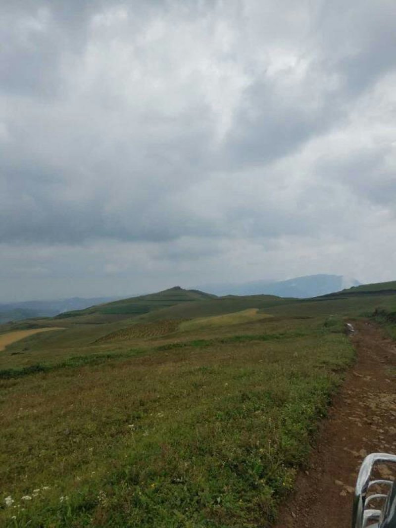 昭通市昭阳区大山包旱地耕地出租