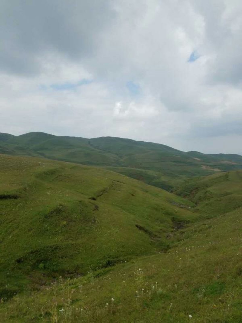昭通市昭阳区大山包旱地耕地出租