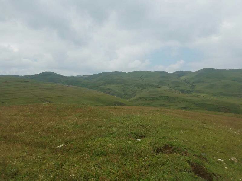 昭通市昭阳区大山包旱地耕地出租