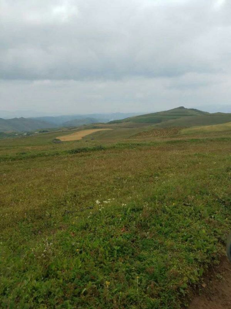 昭通市昭阳区大山包旱地耕地出租