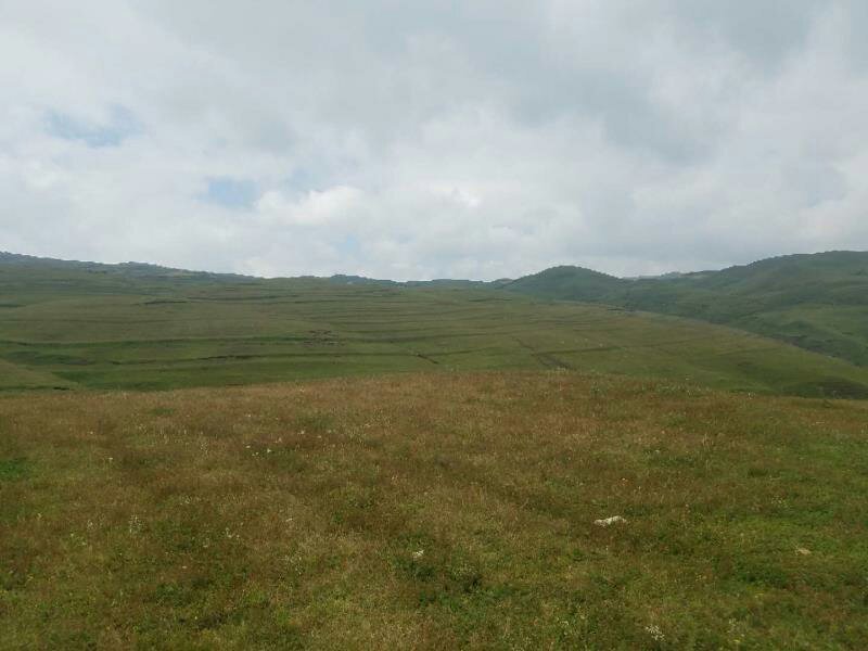 昭通市昭阳区大山包旱地耕地出租