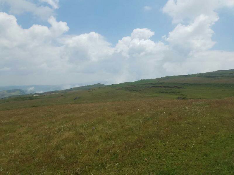昭通市昭阳区大山包旱地耕地出租