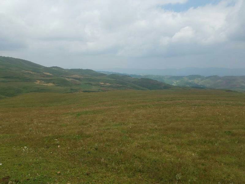 昭通市昭阳区大山包旱地耕地出租