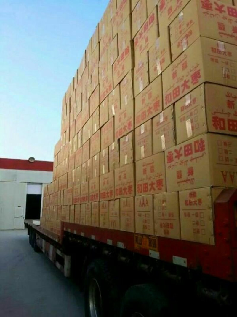 【电商直供】新疆干红枣袋装厂家直供年货节大促销