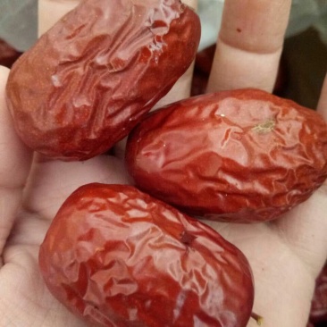 【电商直供】新疆干红枣袋装厂家直供年货节大促销