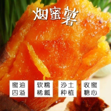 自家红薯