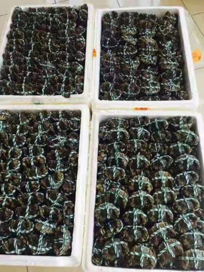 兴化红膏大闸蟹3.0两公