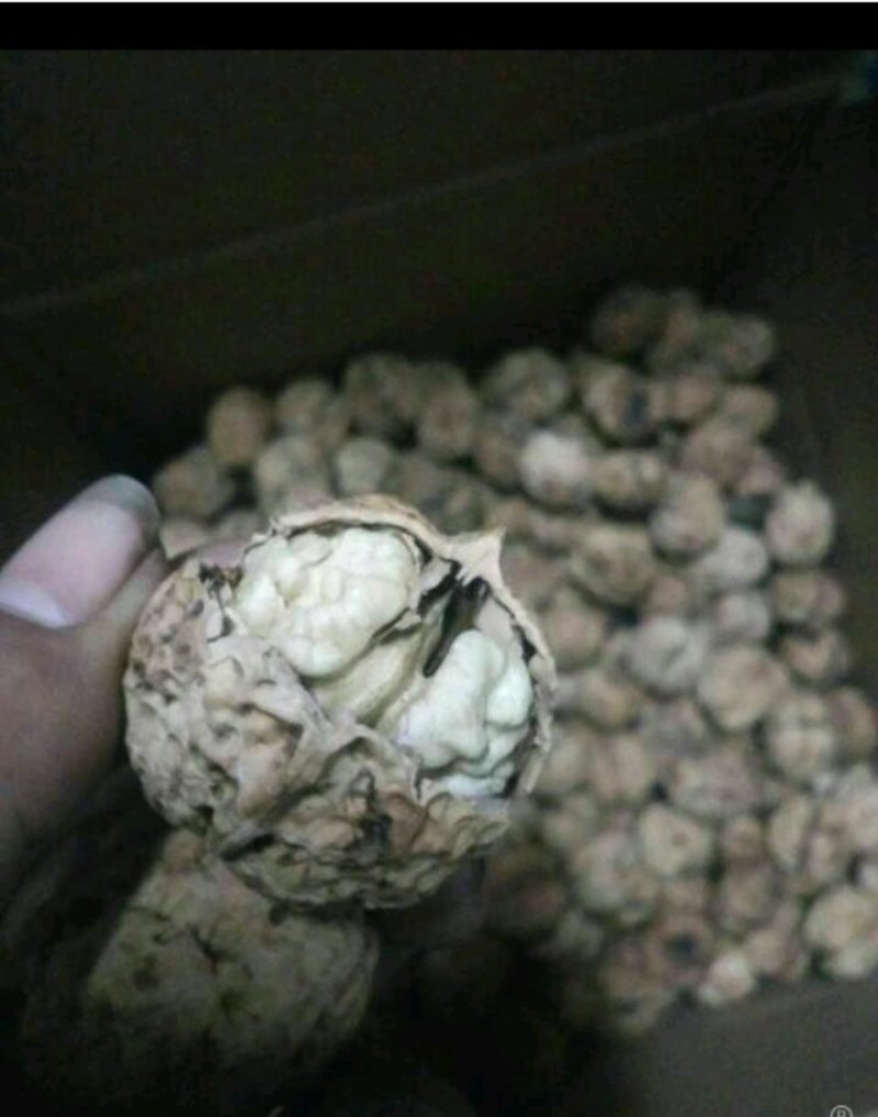 薄皮大麻子5斤包邮