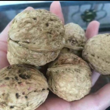 薄皮大麻子5斤包邮