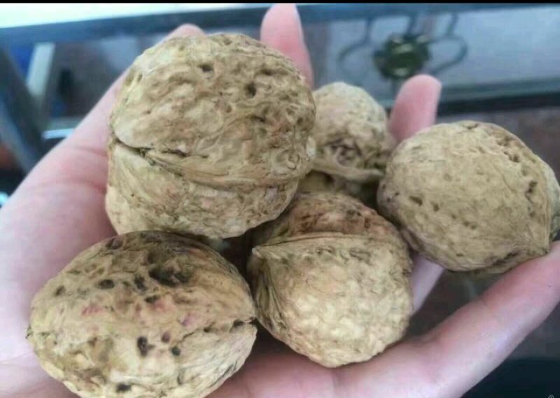 薄皮大麻子5斤包邮
