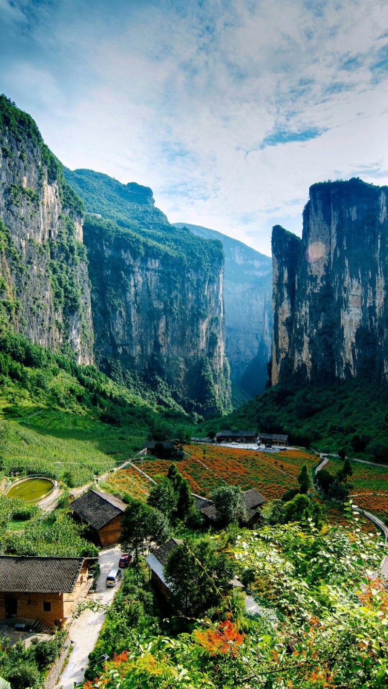 大量供应干香油渣