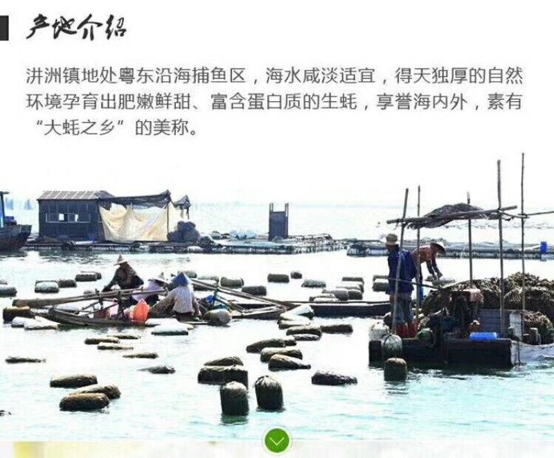 海蛎子