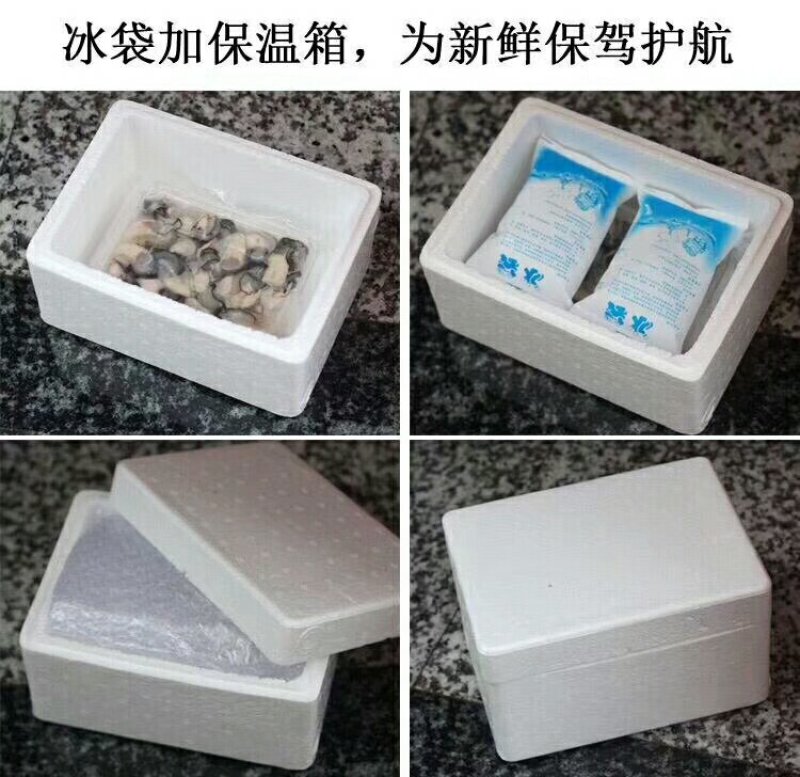 海蛎子