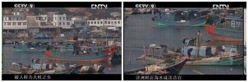 海蛎子