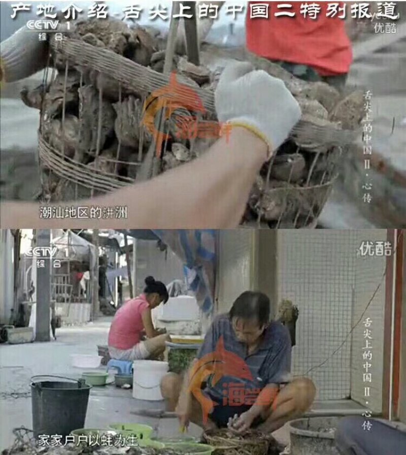 海蛎子