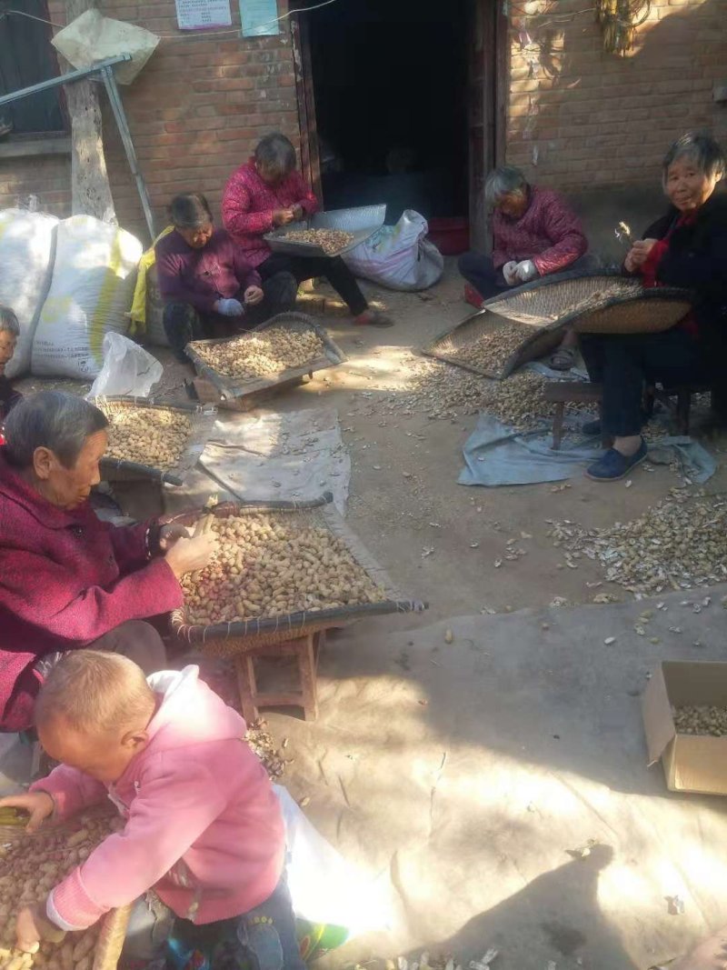 花生米黑花生米纯人工手剥香甜型陆地自然成好吃不贵