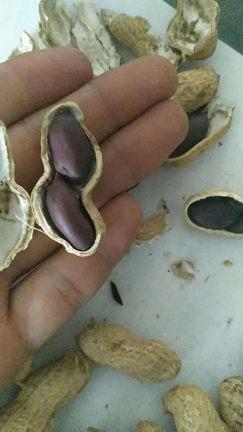 花生米黑花生米纯人工手剥香甜型陆地自然成好吃不贵