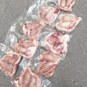 牛鞭宝国产货无鞭根无水
