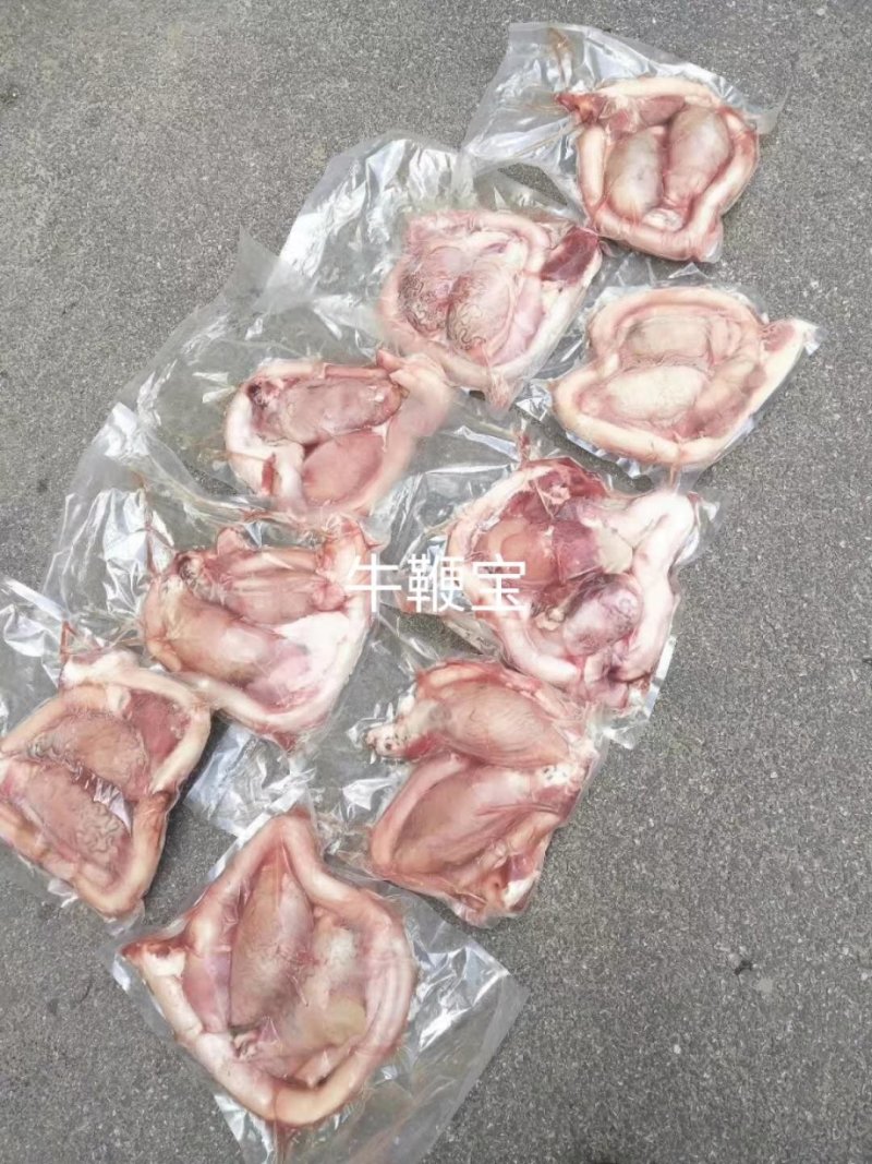 牛鞭宝国产货无鞭根无水