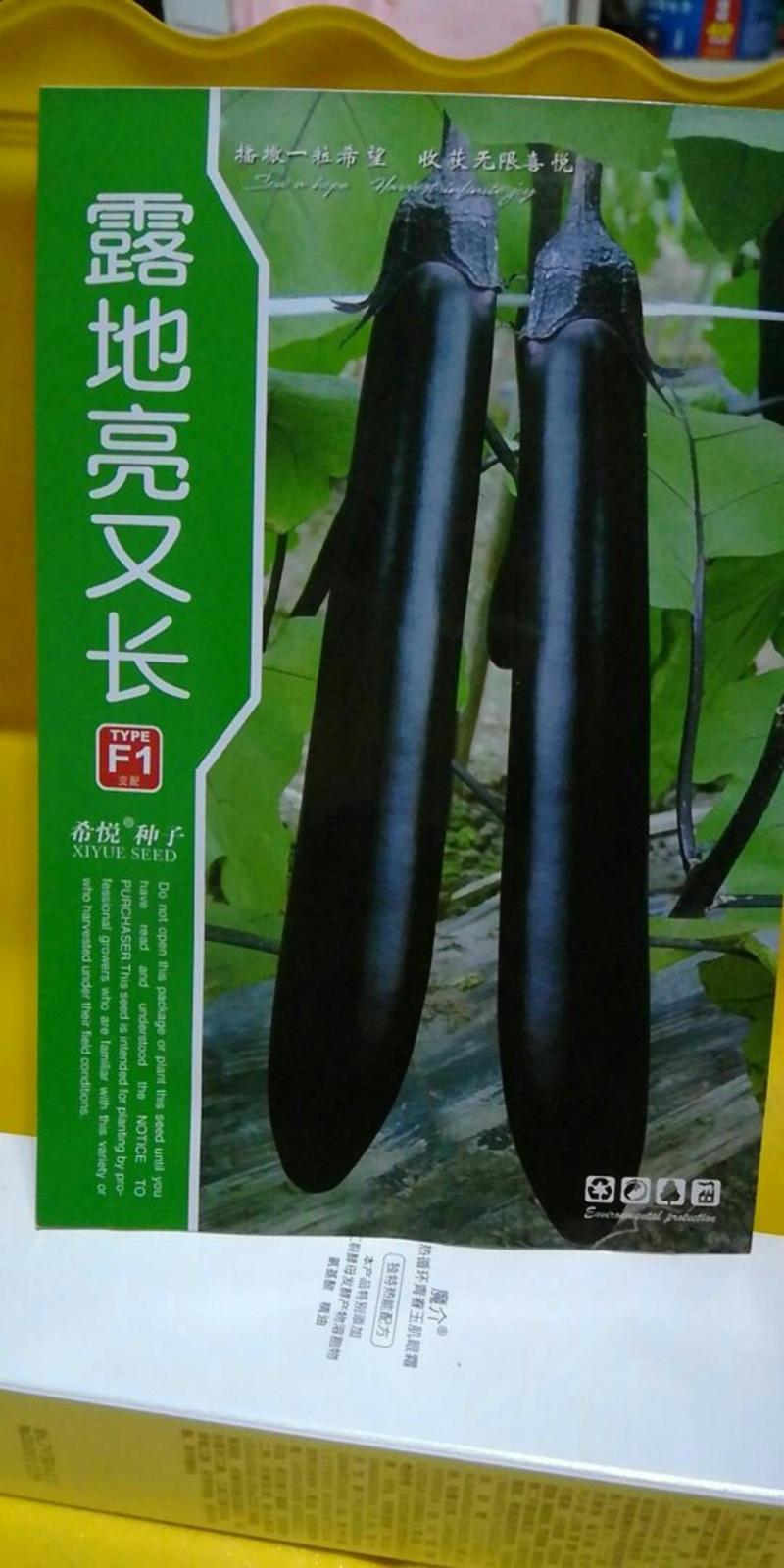 优质长茄种子杂交黑长茄种子茄子种子