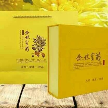 贵州高原金丝皇菊