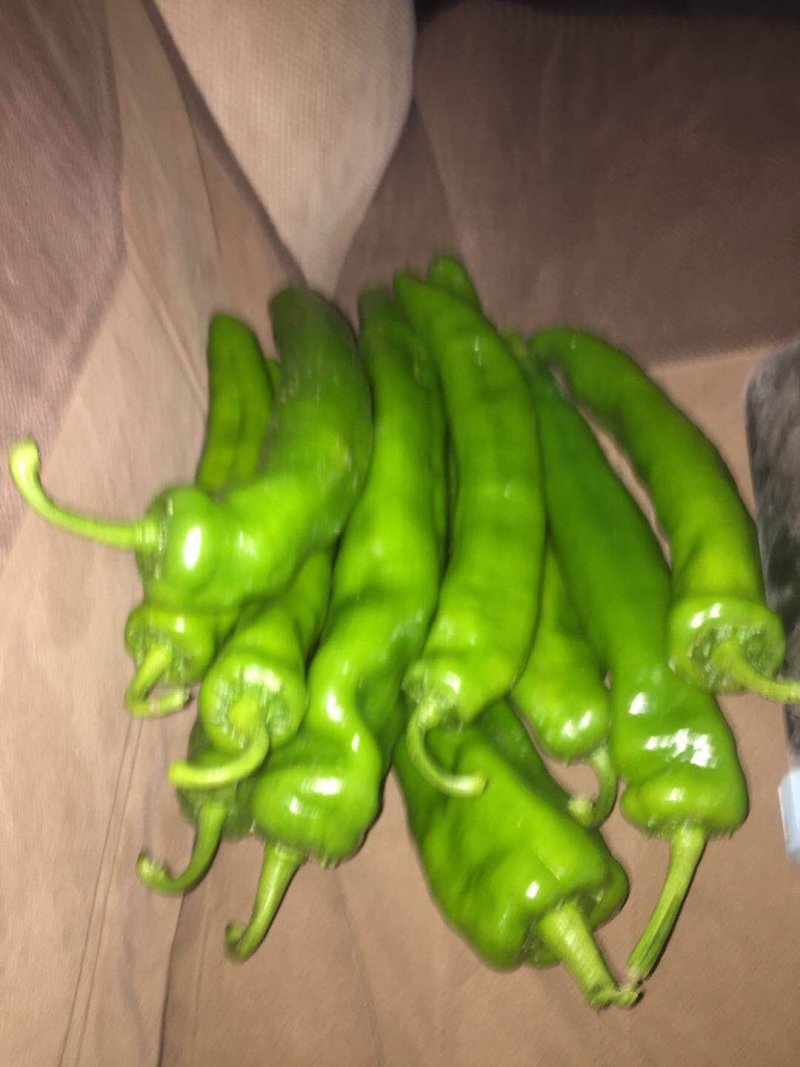 我市场大量牛角椒还有一部分芹菜上市颜色好15到20厘米