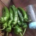 我市场大量牛角椒还有一部分芹菜上市颜色好15到20厘米