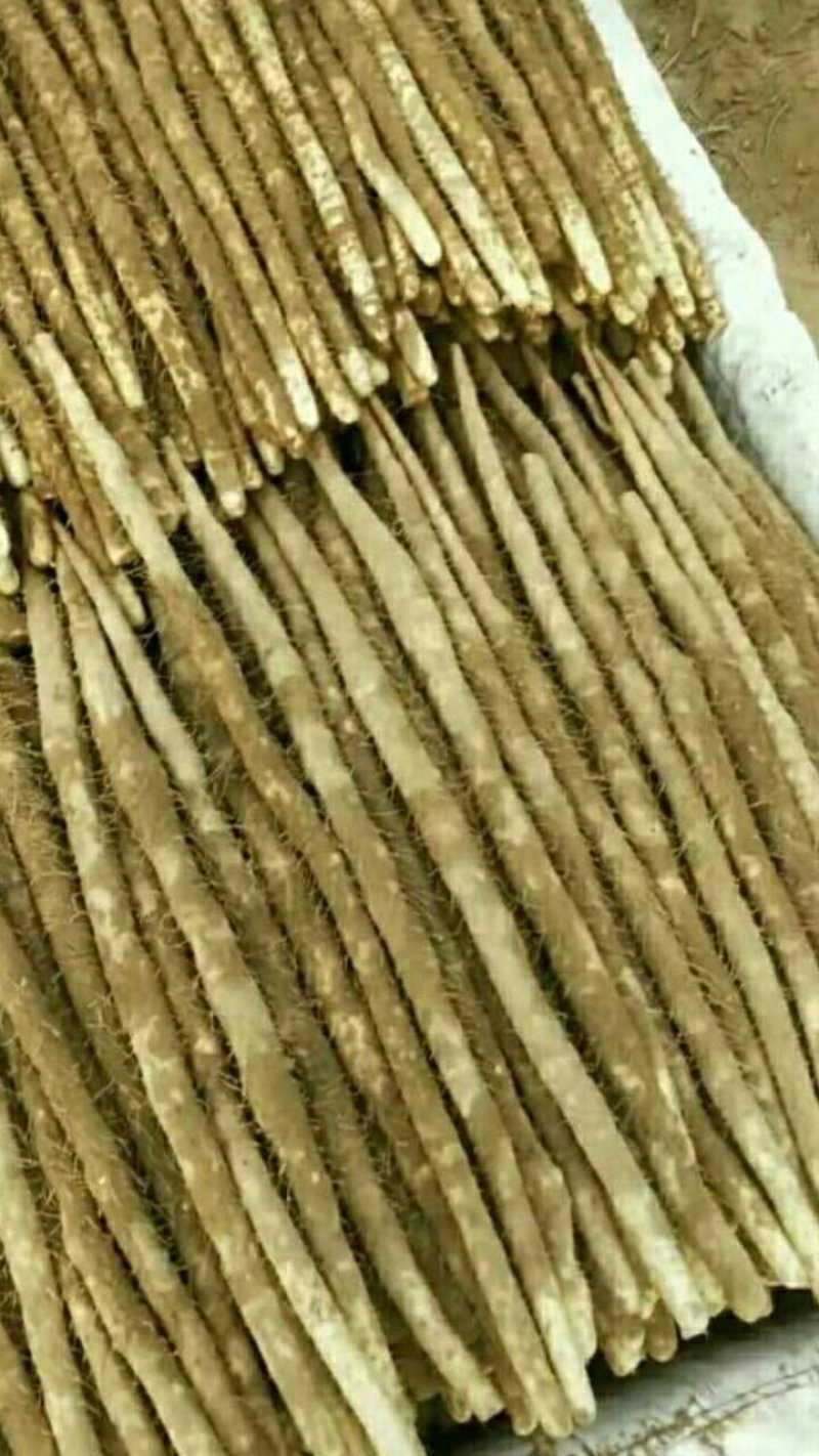 大量上市，有需要的联系
