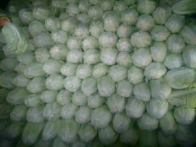 扁包菜