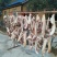 农村自养黑毛土猪肉腊肉