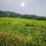 山地