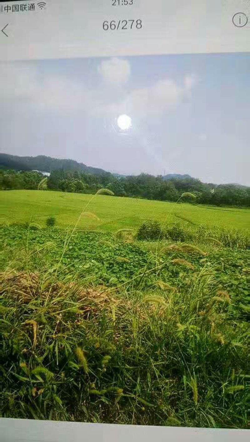 山地