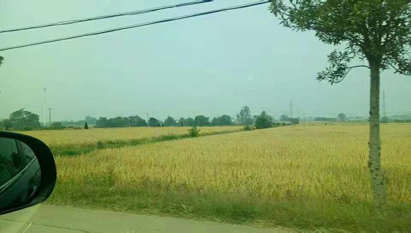 山地