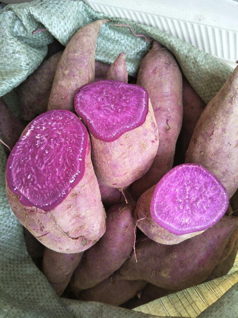 紫薯紫罗兰大量上市各种规格市场批发支持电商一件代