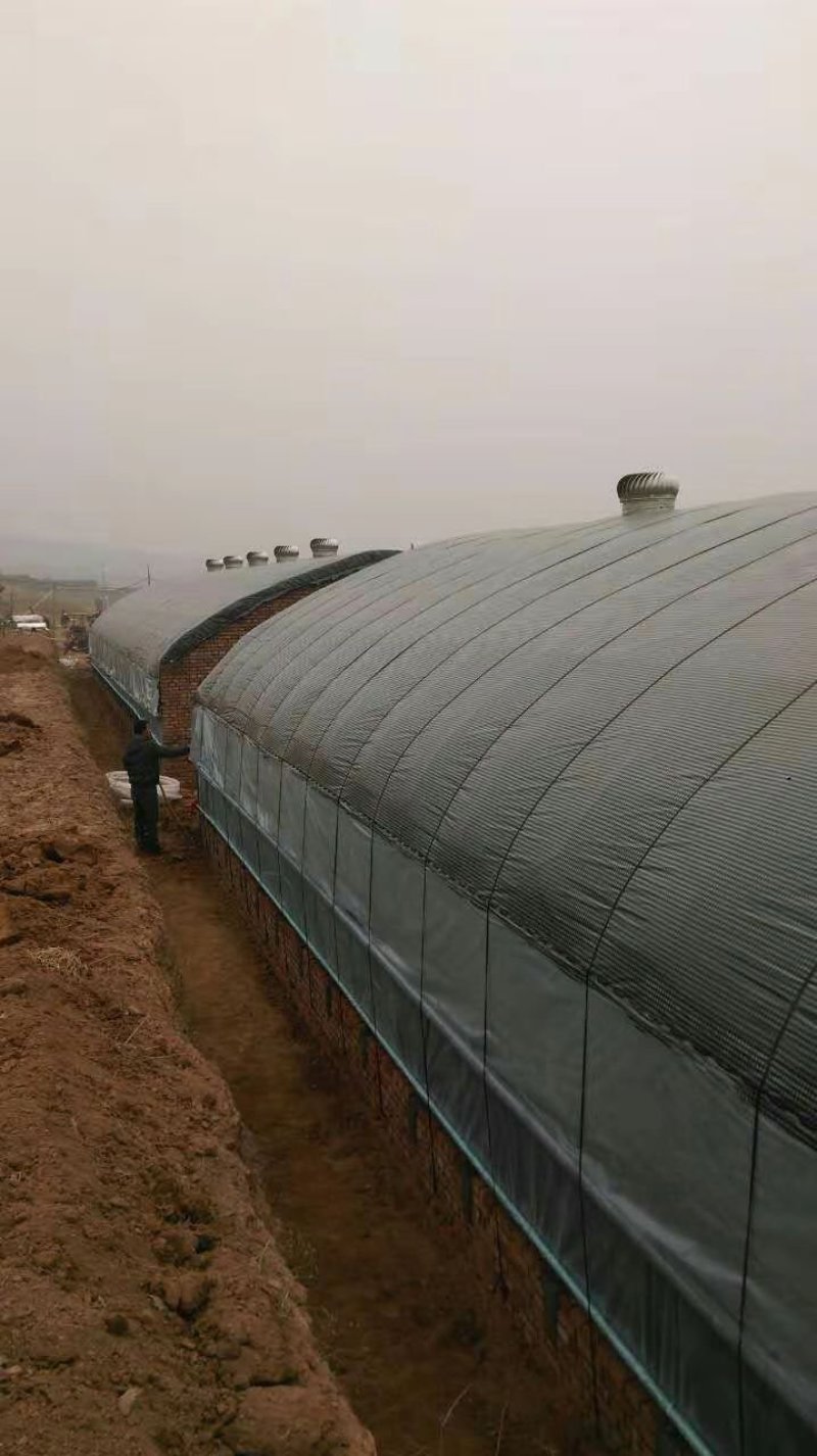 养殖大棚建设