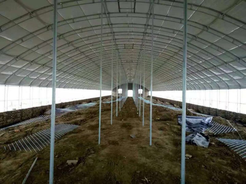养殖大棚建设