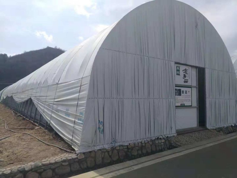养殖大棚建设