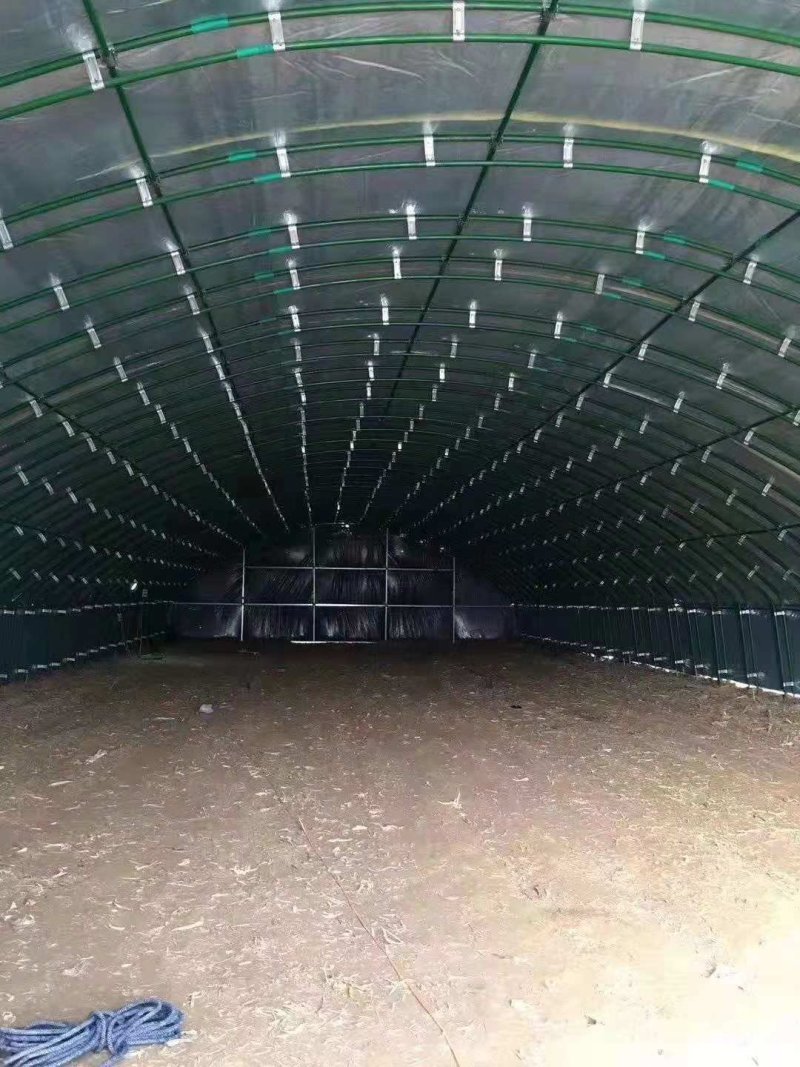 养殖大棚建设