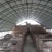 养殖大棚建设