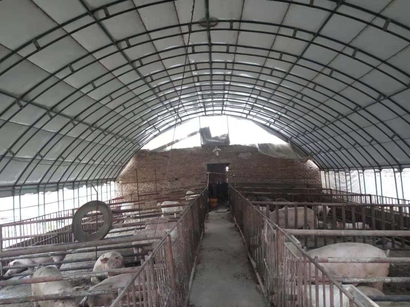 养殖大棚建设