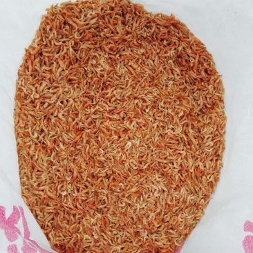 长阳清江干虾，鱼