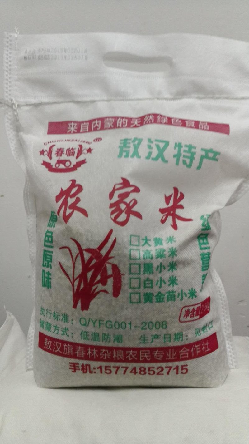 黄小米黄金苗小米敖汉特产纯新黄金苗小米金苗K1