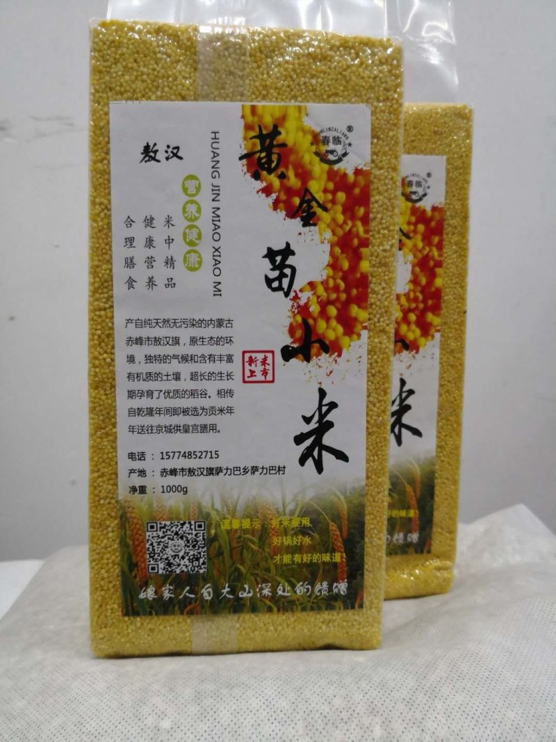 黄小米黄金苗小米敖汉特产纯新黄金苗小米金苗K1