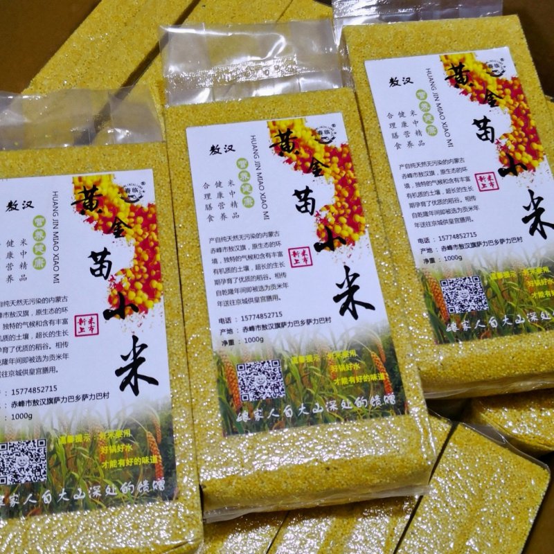 黄小米黄金苗小米敖汉特产纯新黄金苗小米金苗K1